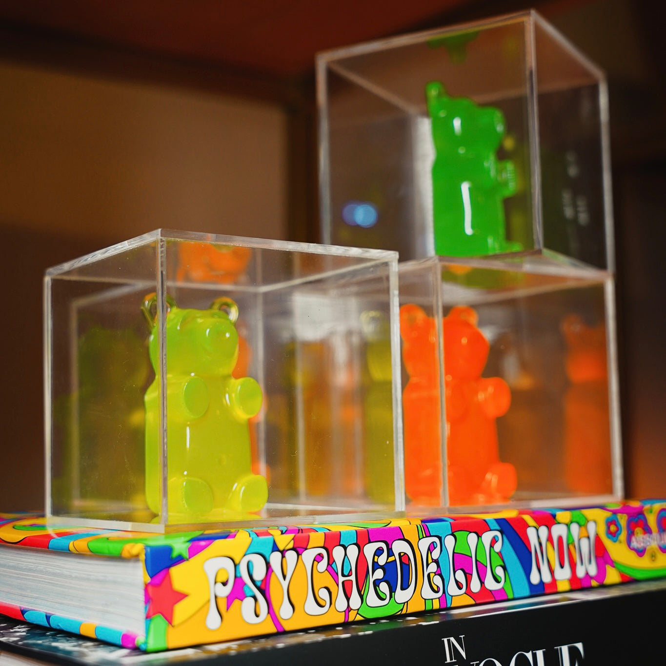 Candy Cube  - Urso na Caixa de Acrílico