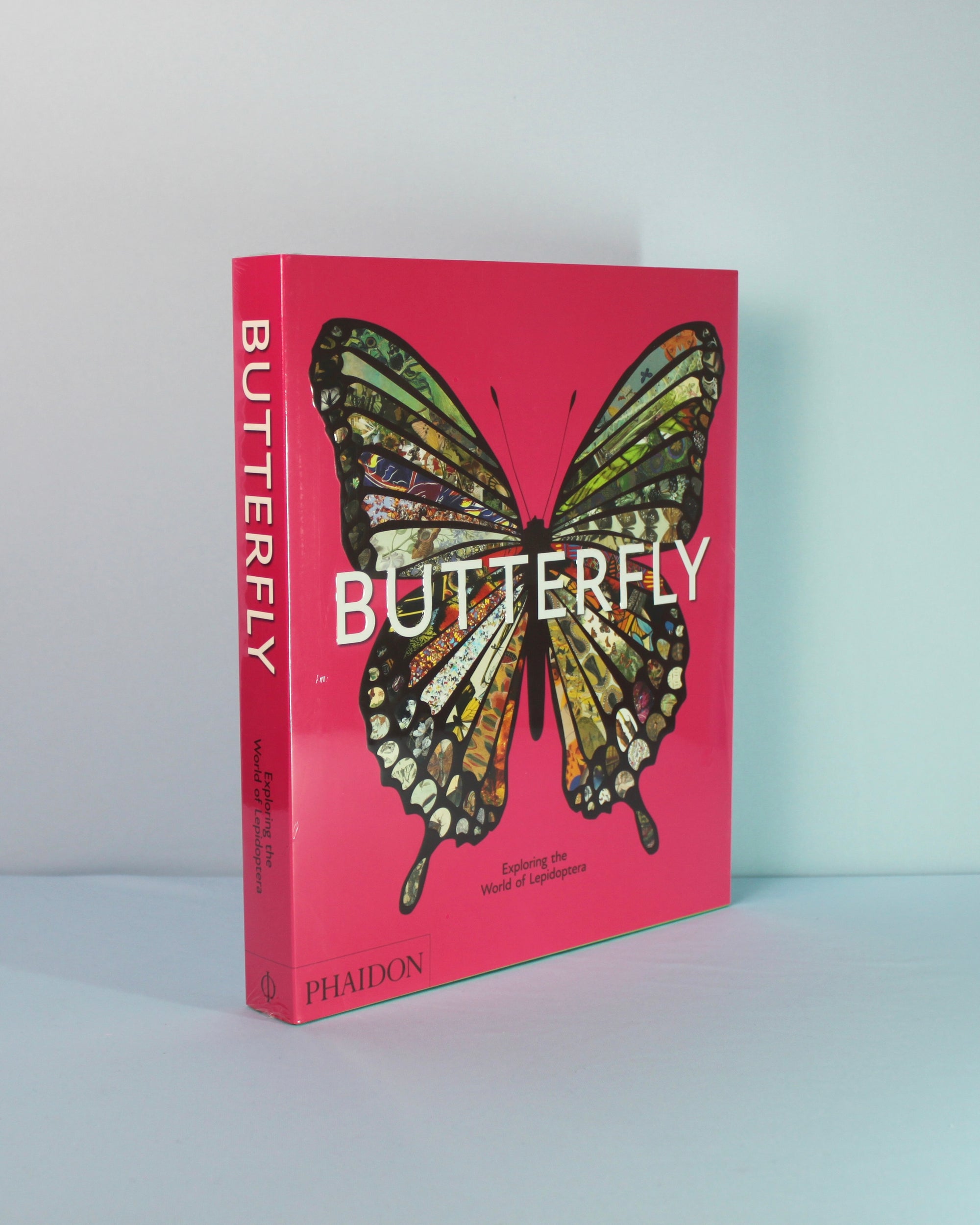 Livro Butterfly Exploring The World Of Lepidoptera em capa dura, coffee table book de borboletas para decoração