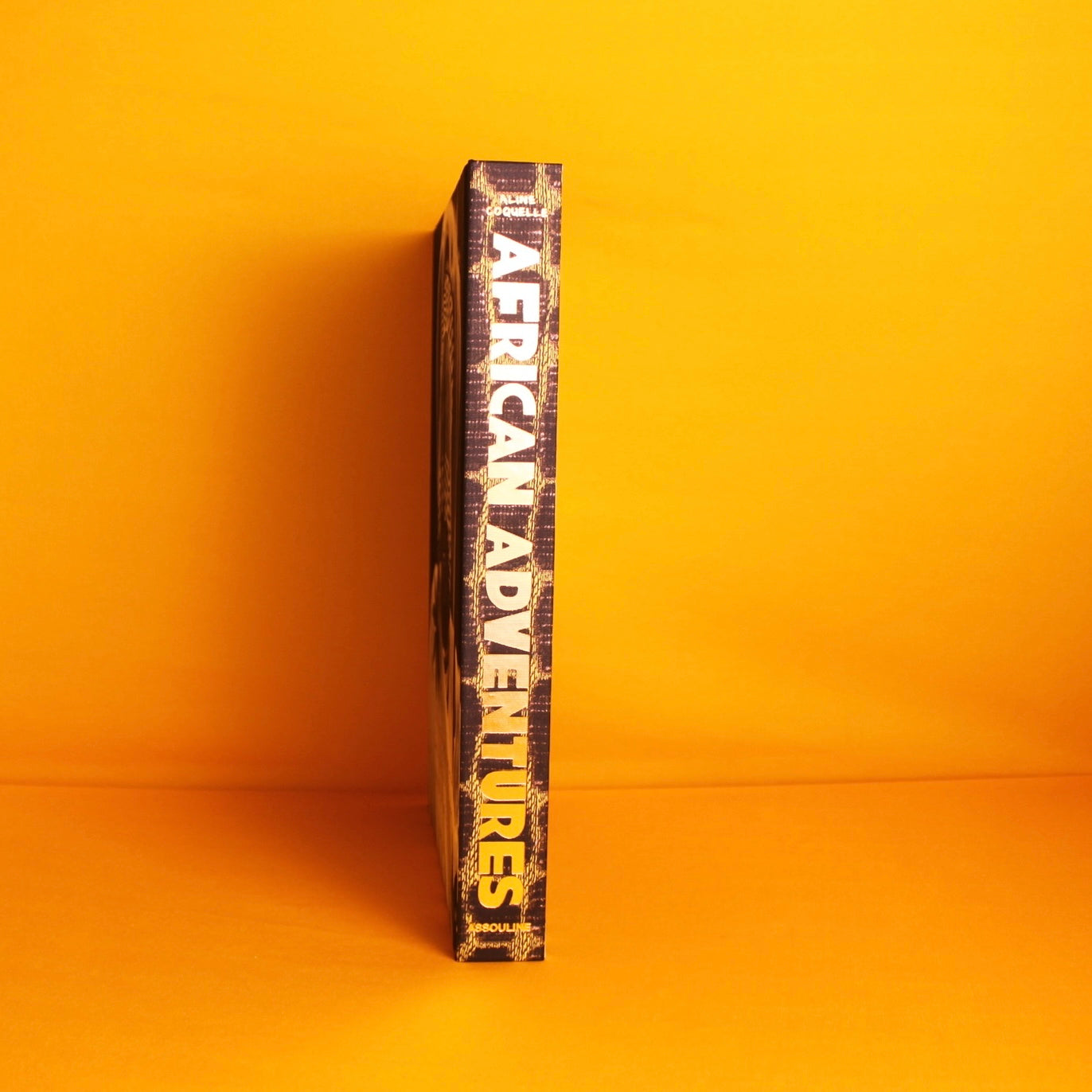 Livro African Adventures Assouline - Modern Mood