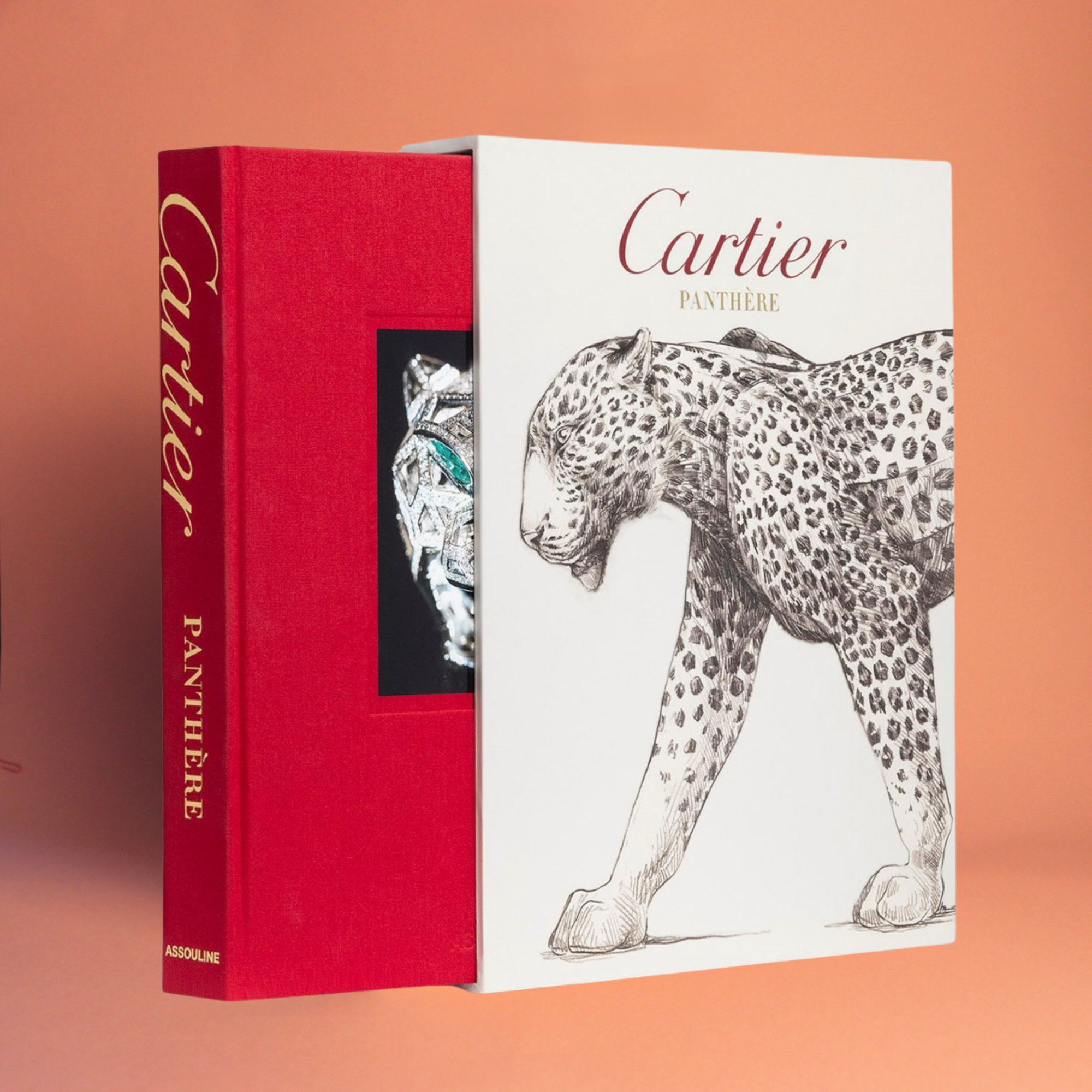 Livro Cartier Panthère Assouline capa dura coffee table book de luxo para decoração - Modern Mood