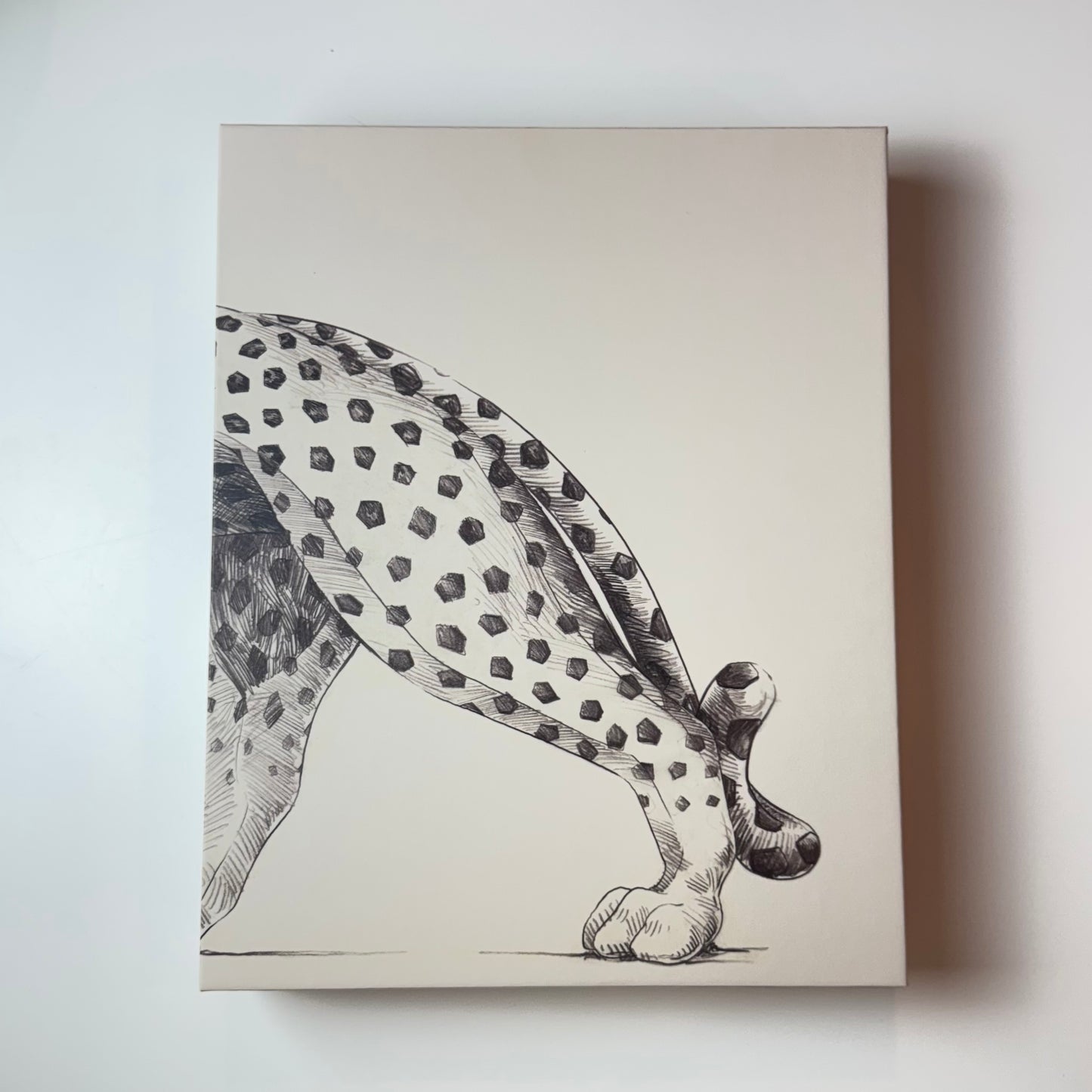 Livro Cartier Panthere - Modern Mood