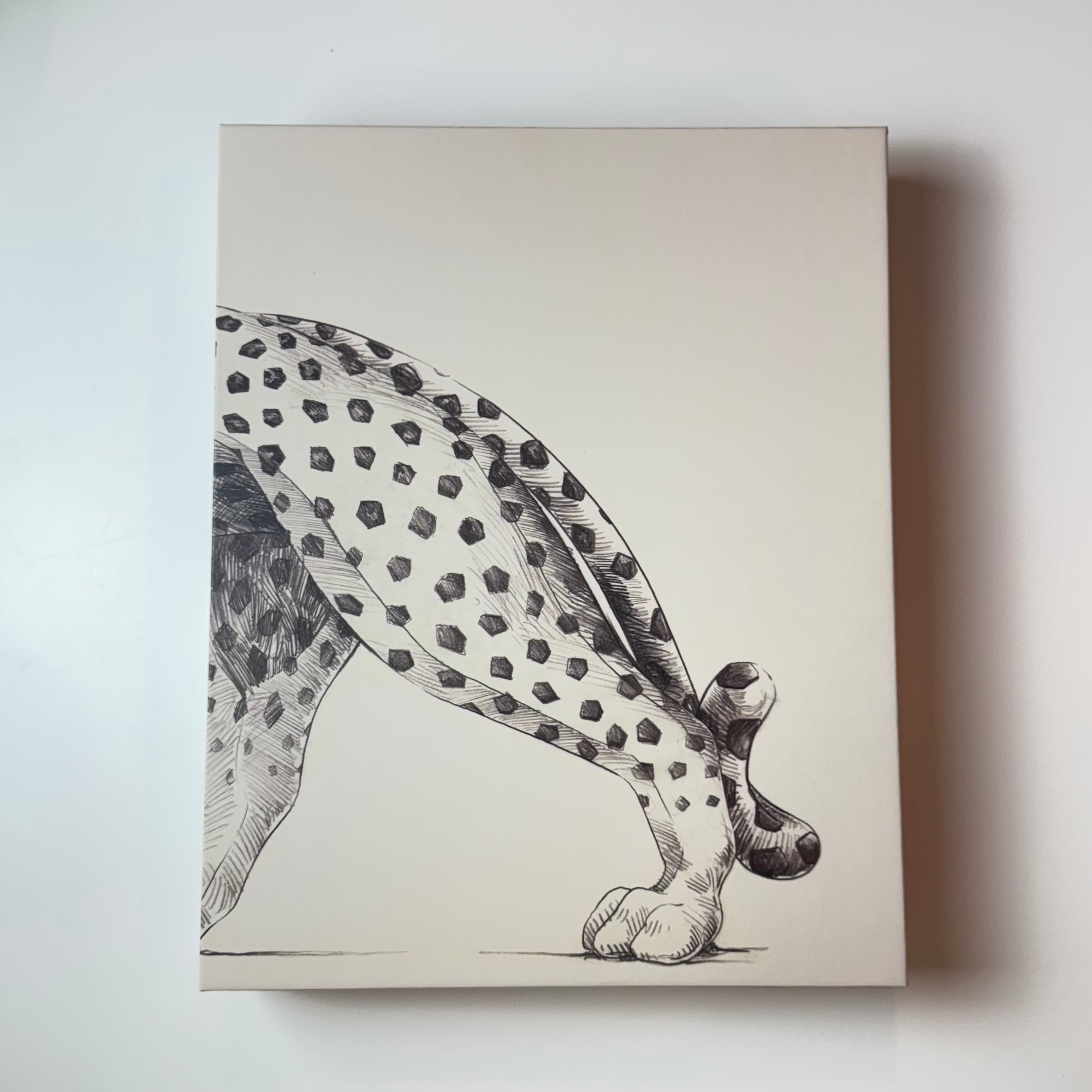 Livro Cartier Panthere - Modern Mood