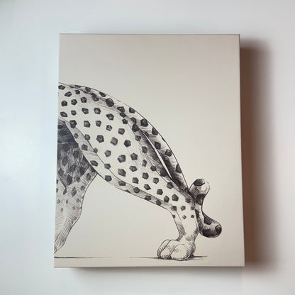 Livro Cartier Panthere - Modern Mood