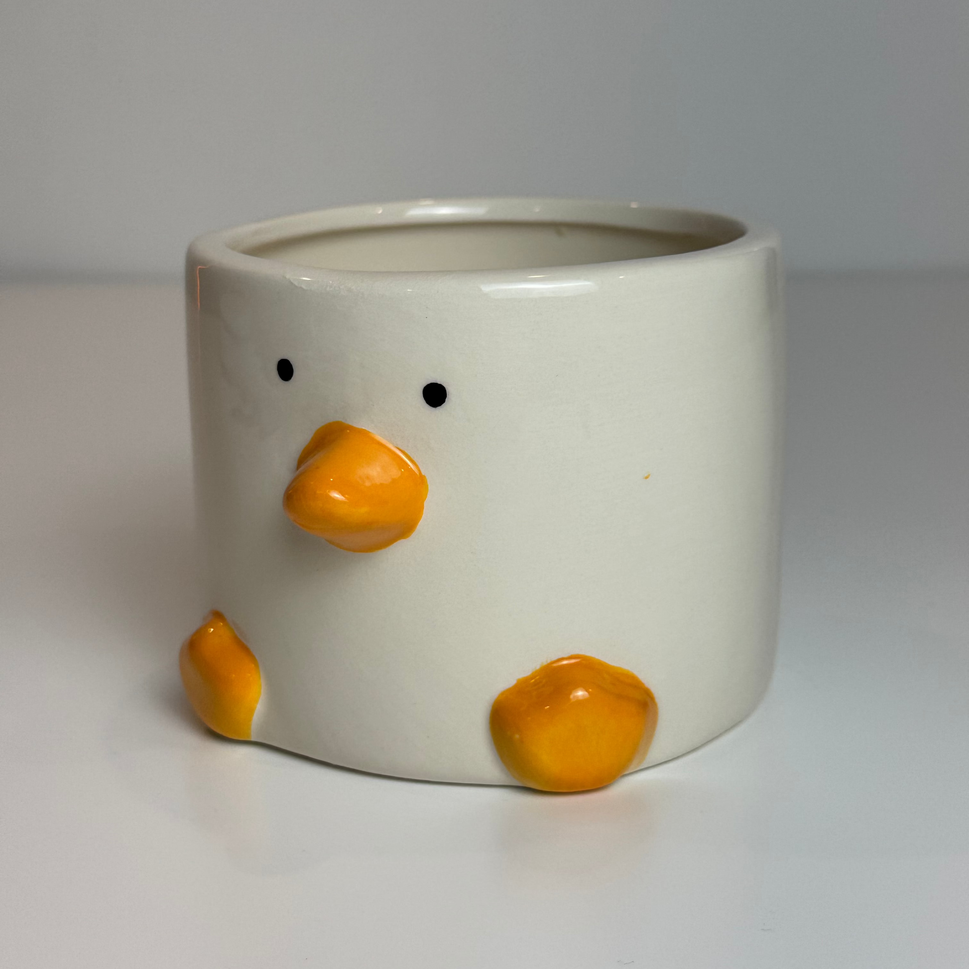 Cachepot Duck - Modern Mood