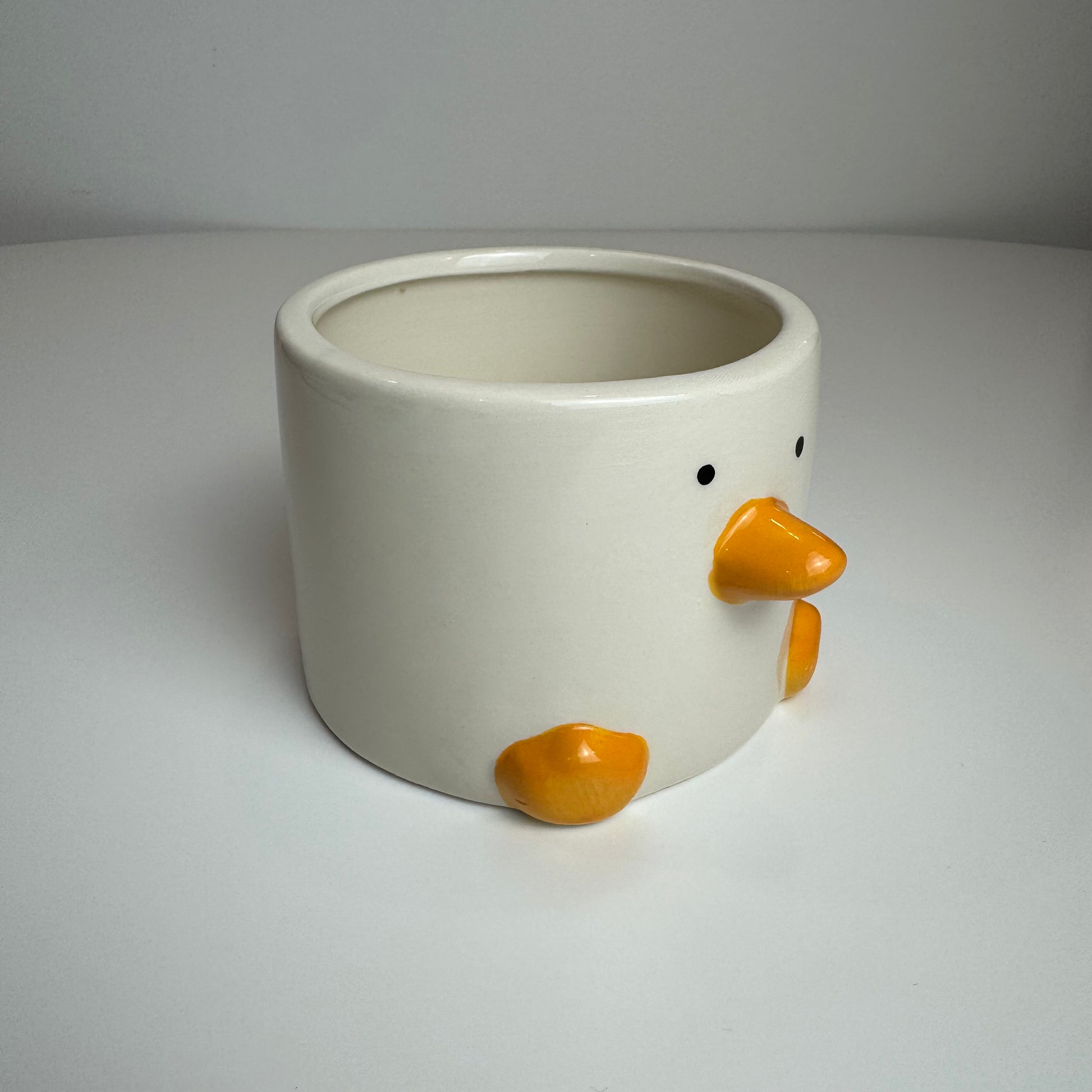 Cachepot Duck - Modern Mood