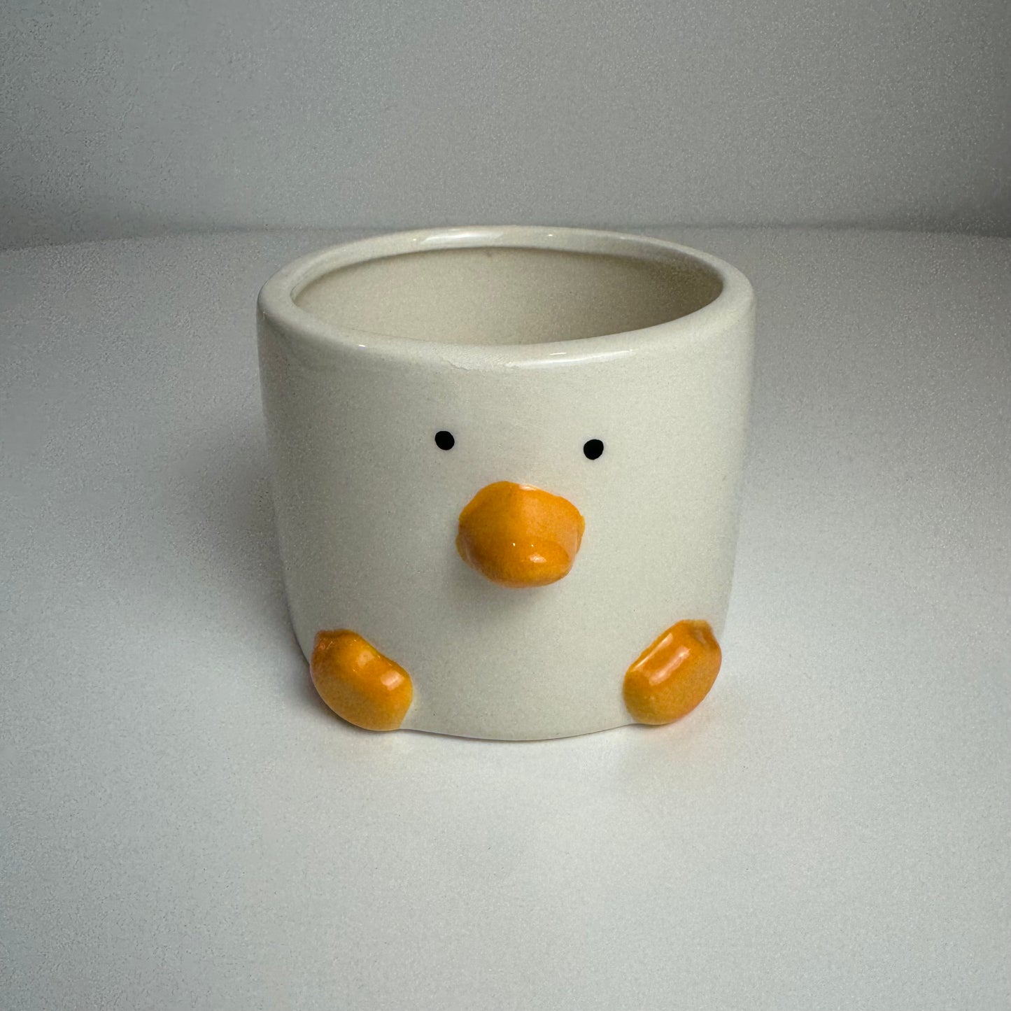 Cachepot Duck - Modern Mood