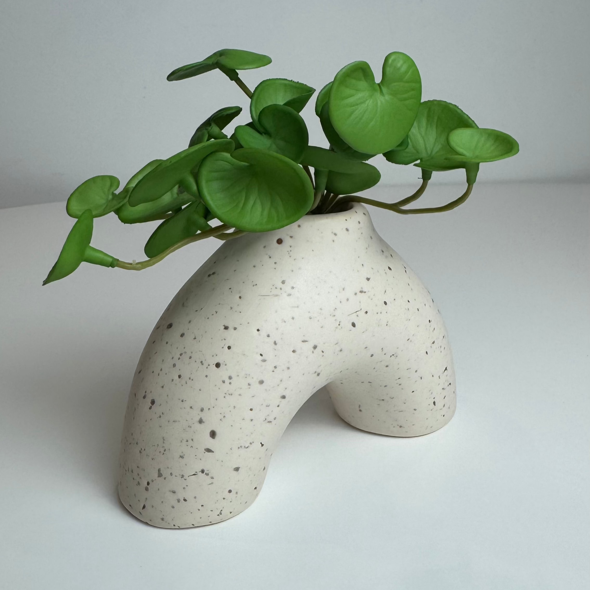 Vaso Curve - Modern Mood