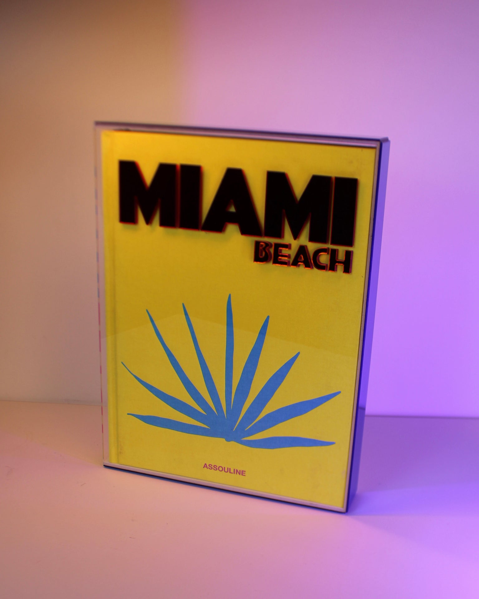 Livro Miami Beach Assouline capa dura, coffee table book de luxo para decoração - Modern Mood [WEBP]