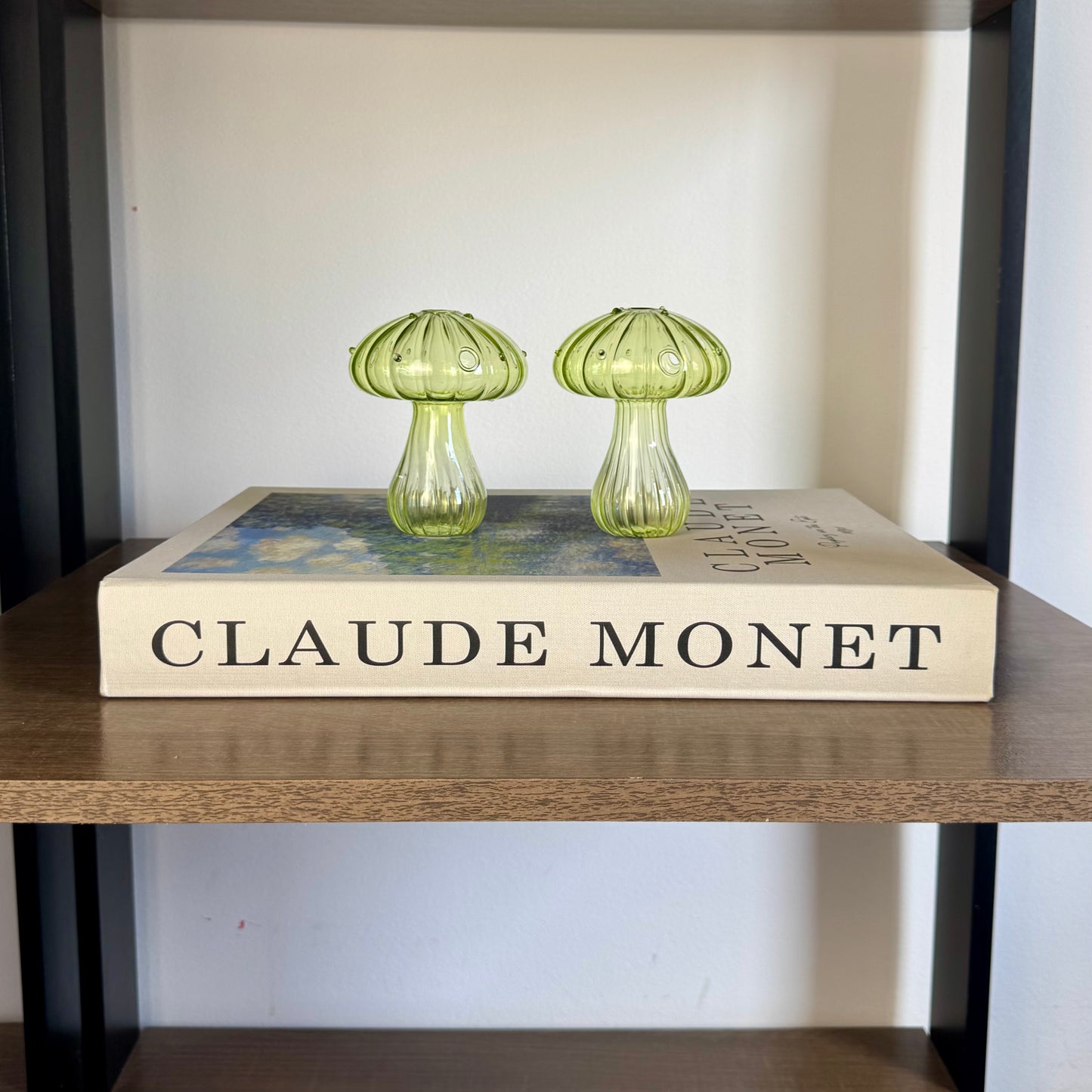 Livro Caixa Claude Monet