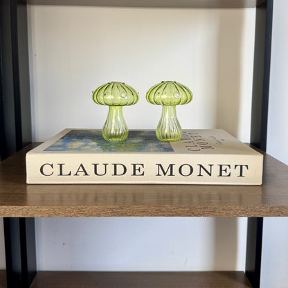 Livro Caixa Claude Monet