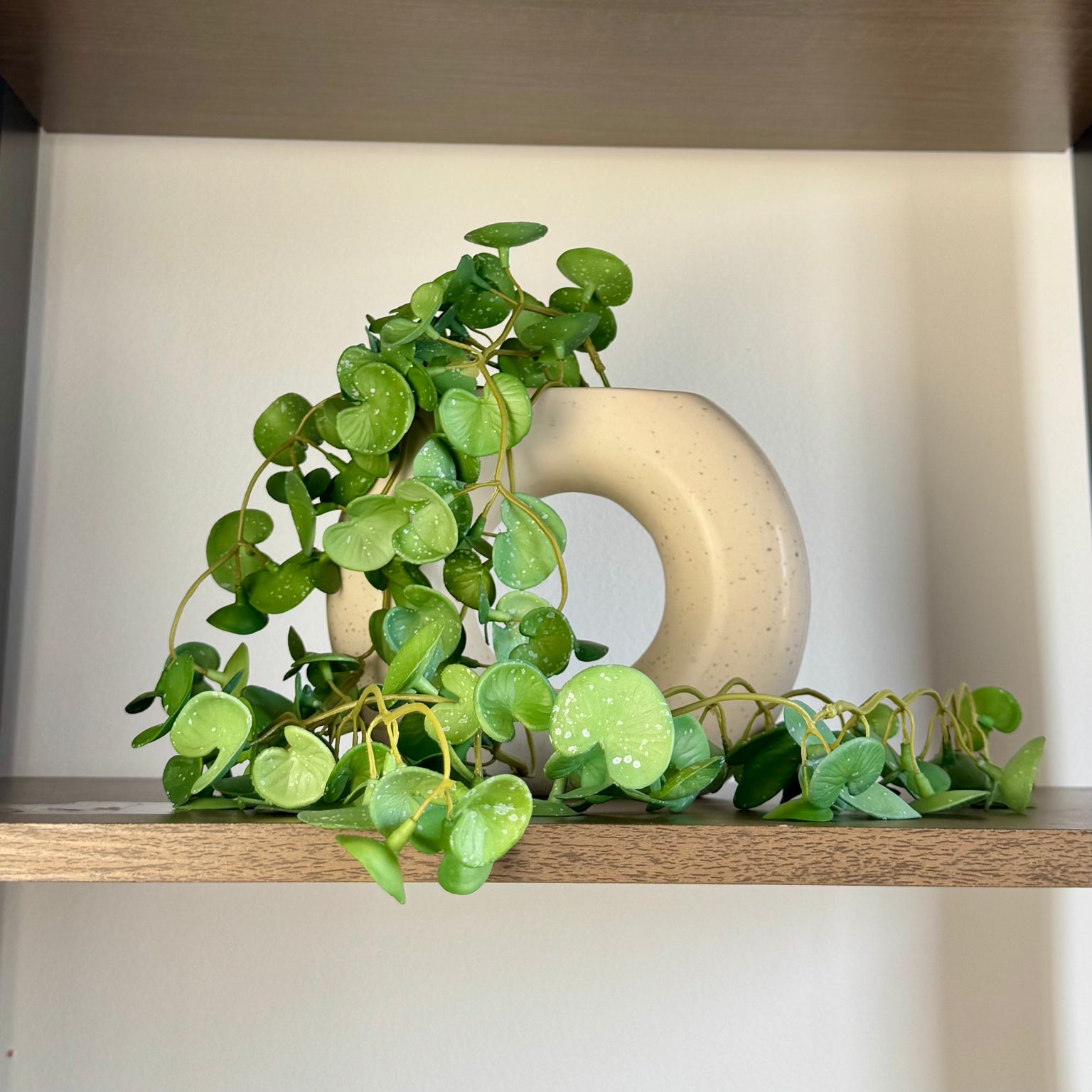 Planta artificial realista em galho verde de PVC para decoração de mesa, prateleira ou vaso (Jiboia/Eucalipto)