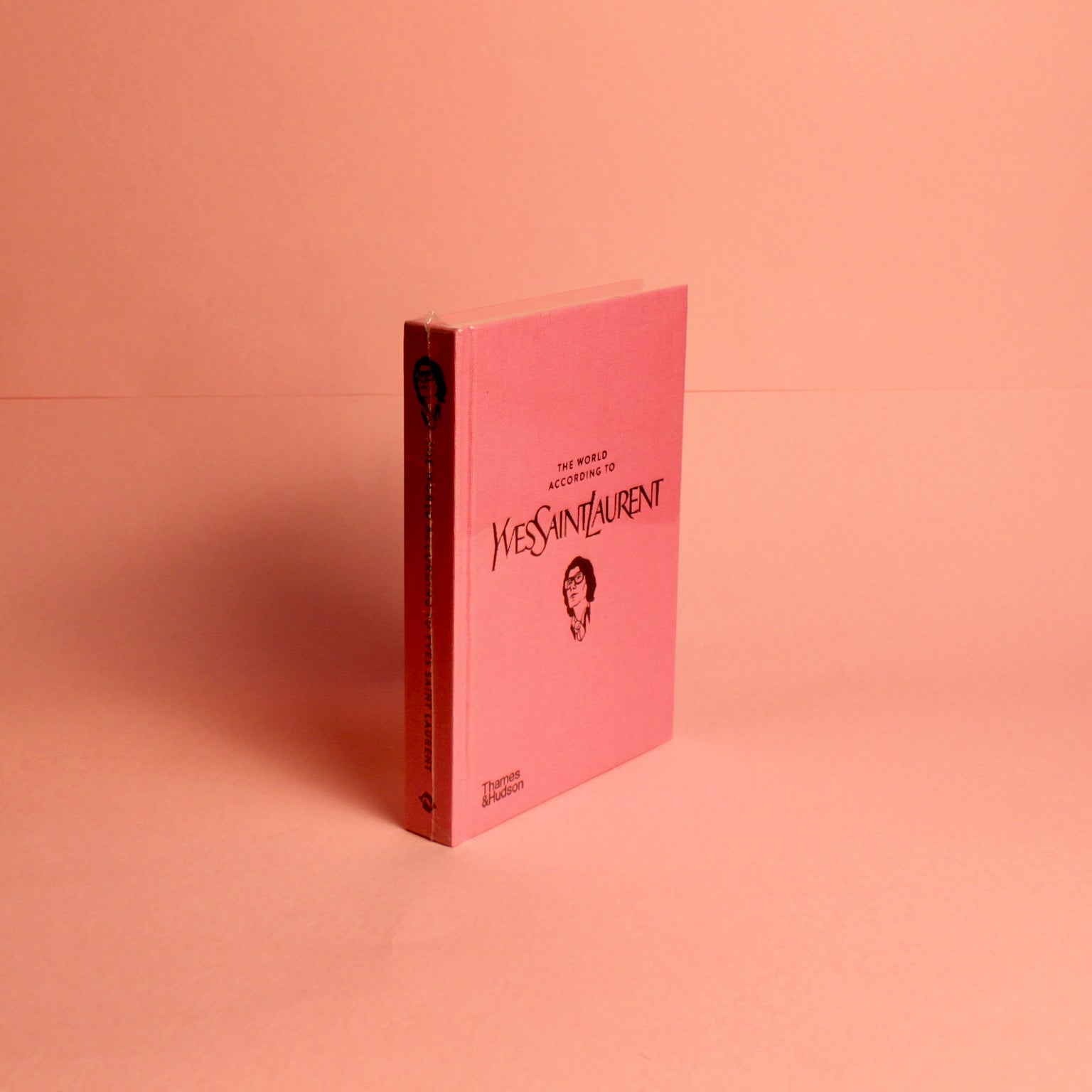 Livro "The World according to Yves Saint Laurent" - Modern Mood
