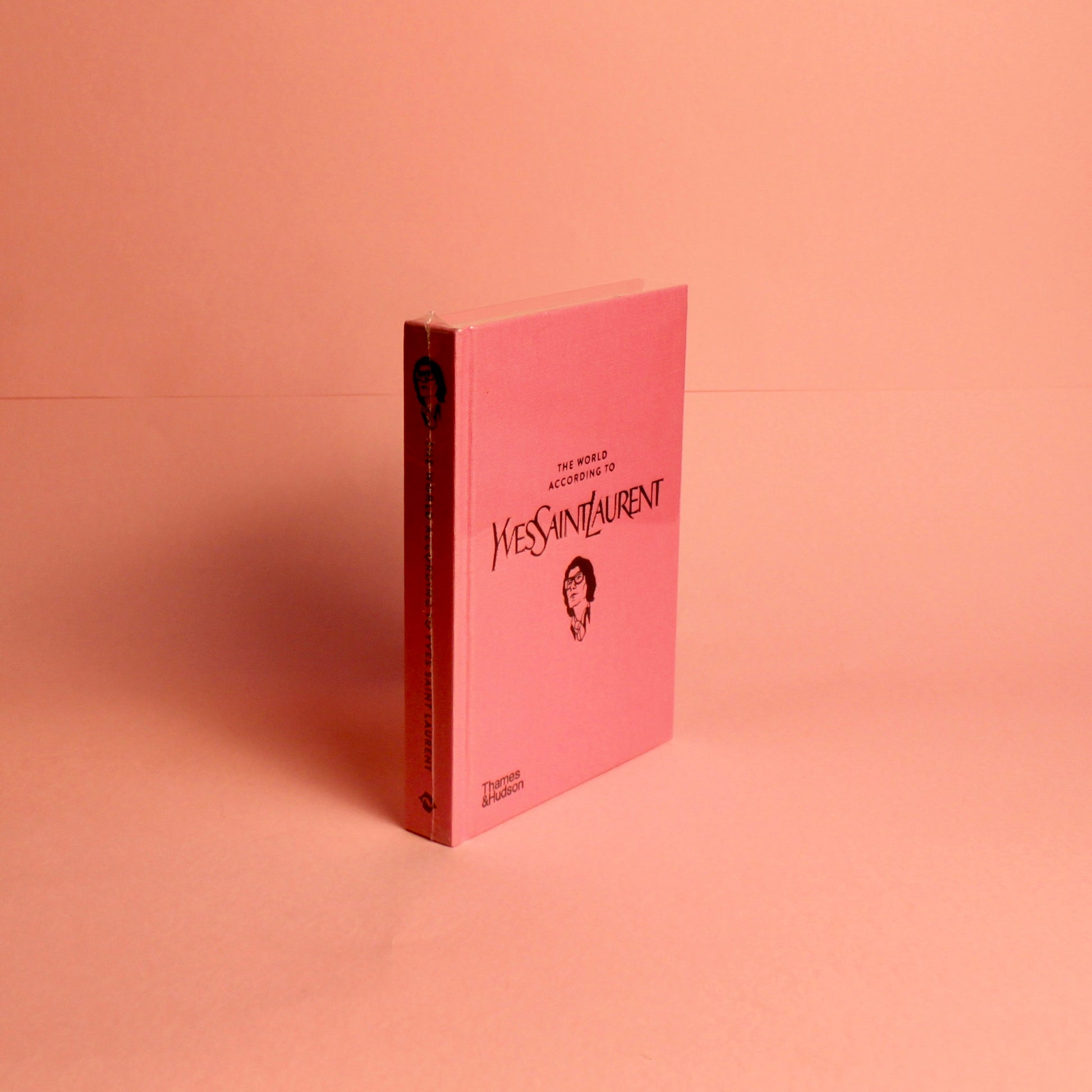 Livro "The World according to Yves Saint Laurent" - Modern Mood