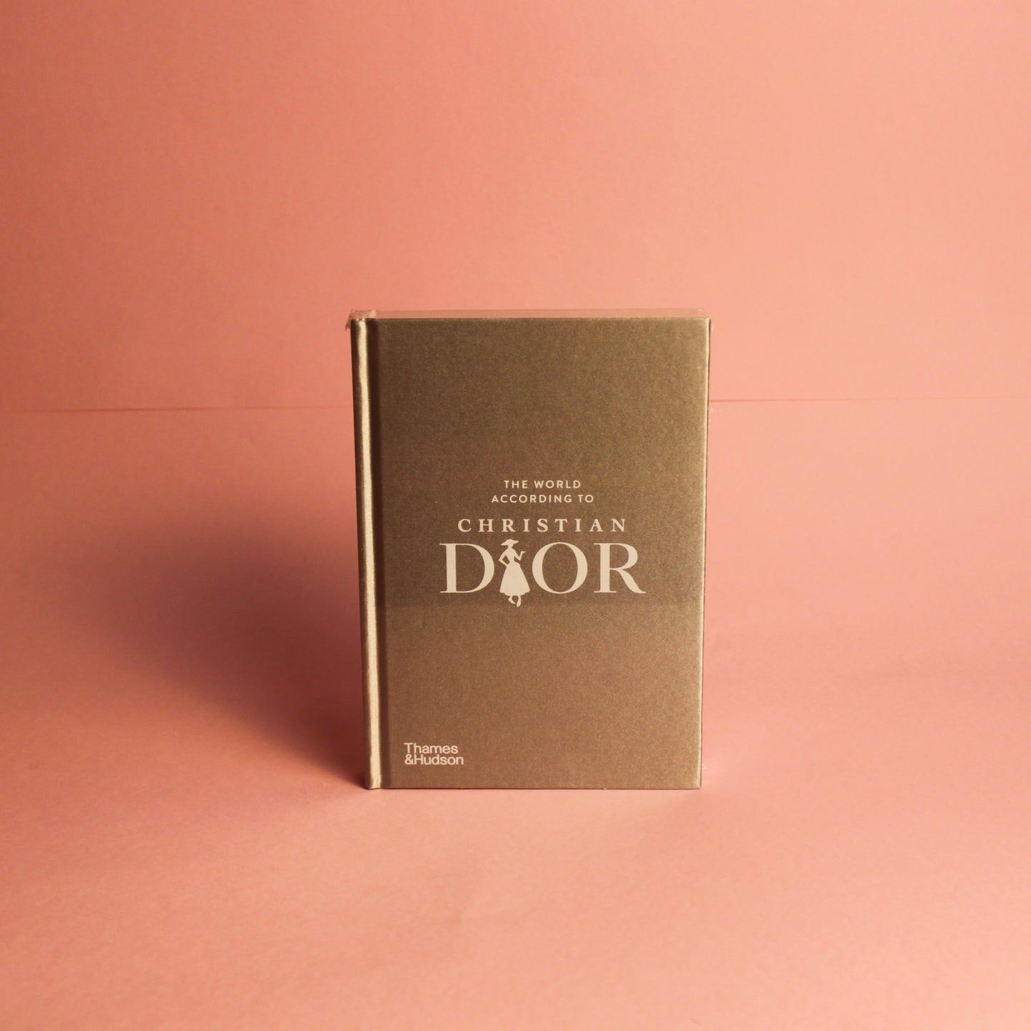 Livro The World According To Christian Dior Thames & Hudson - Modern Mood
