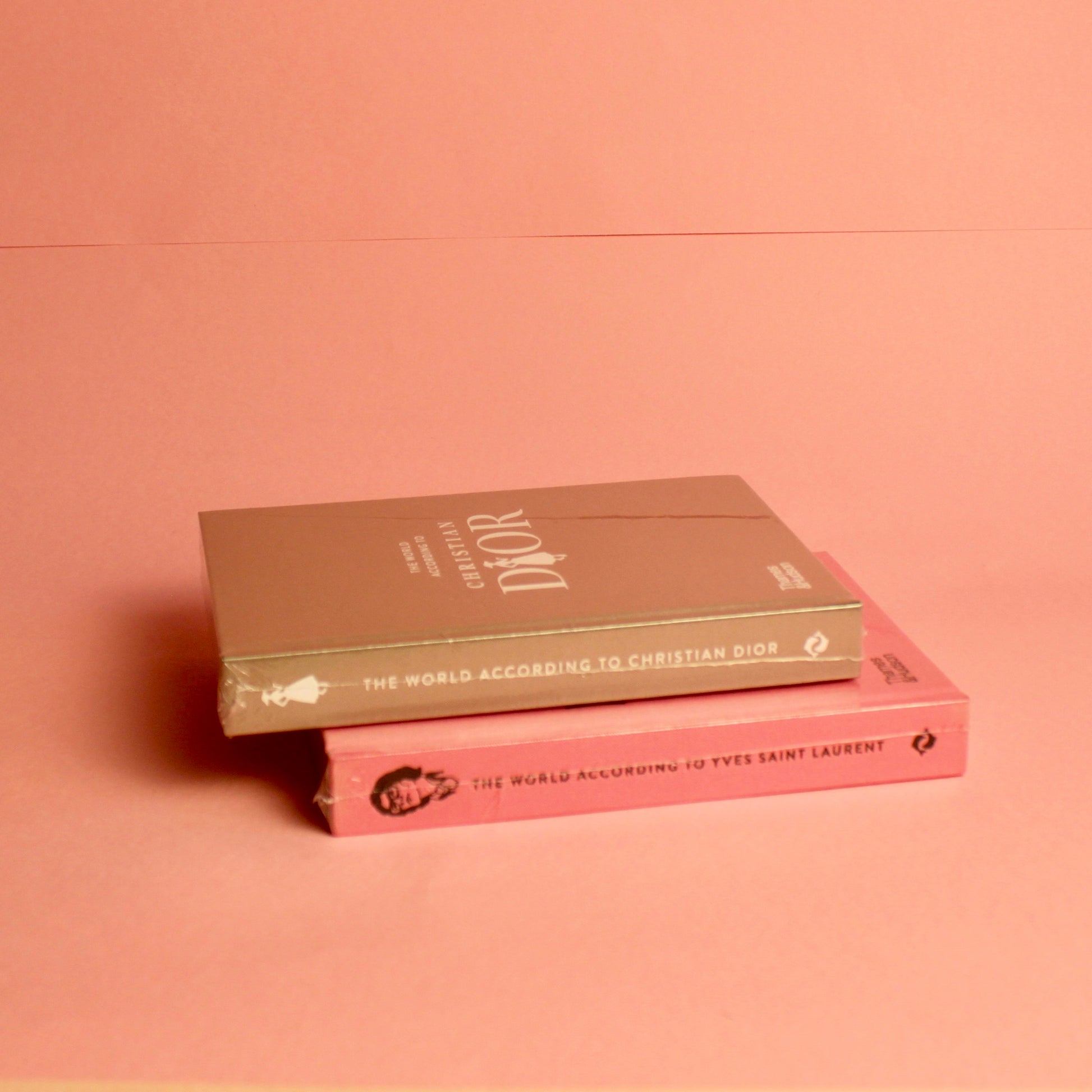 Livro The World According To Christian Dior Thames & Hudson - Modern Mood