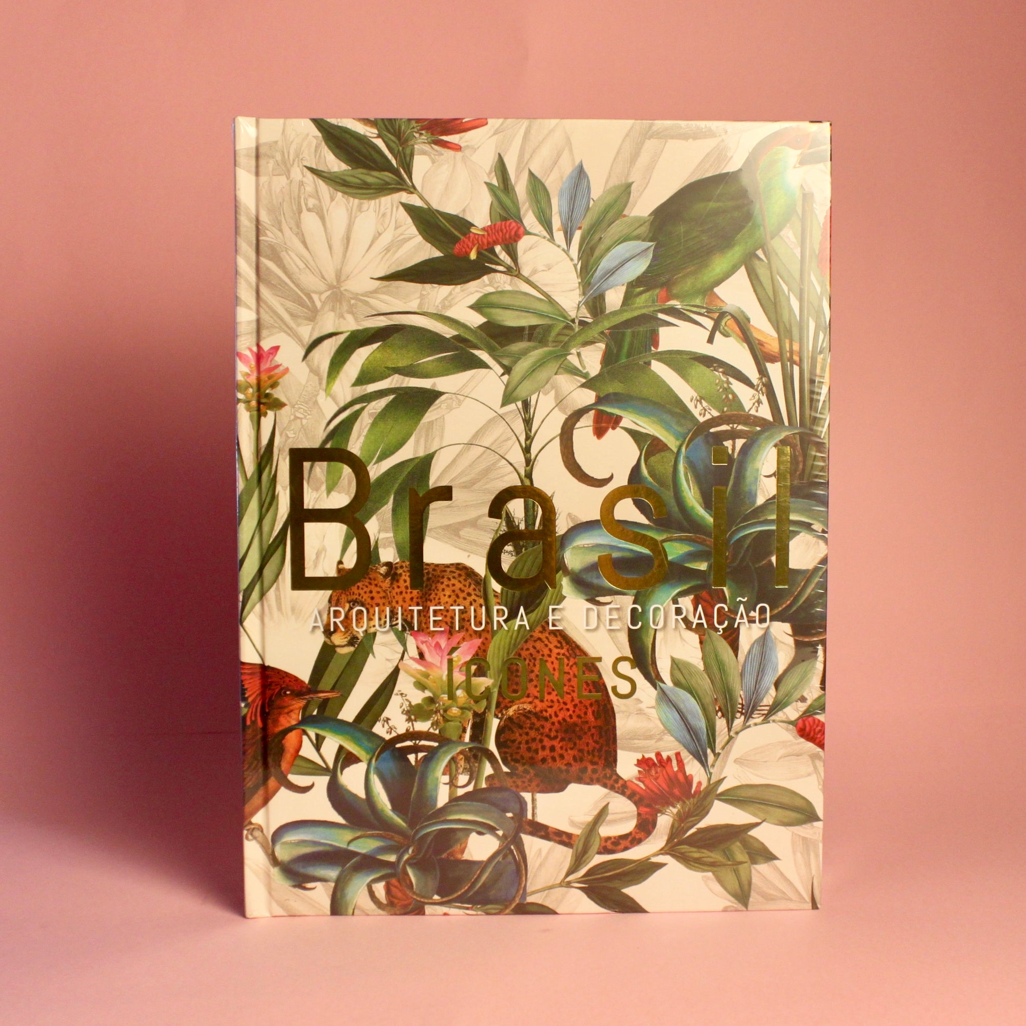 Livro Brasil Arquitetura e Decoração - Modern Mood