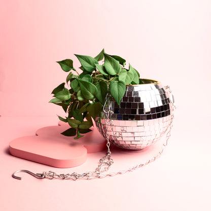 Cachepot Disco - Modern Mood