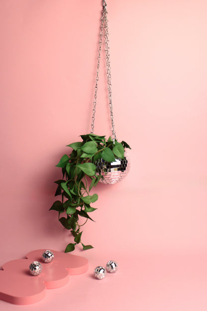 Cachepot Disco - Modern Mood