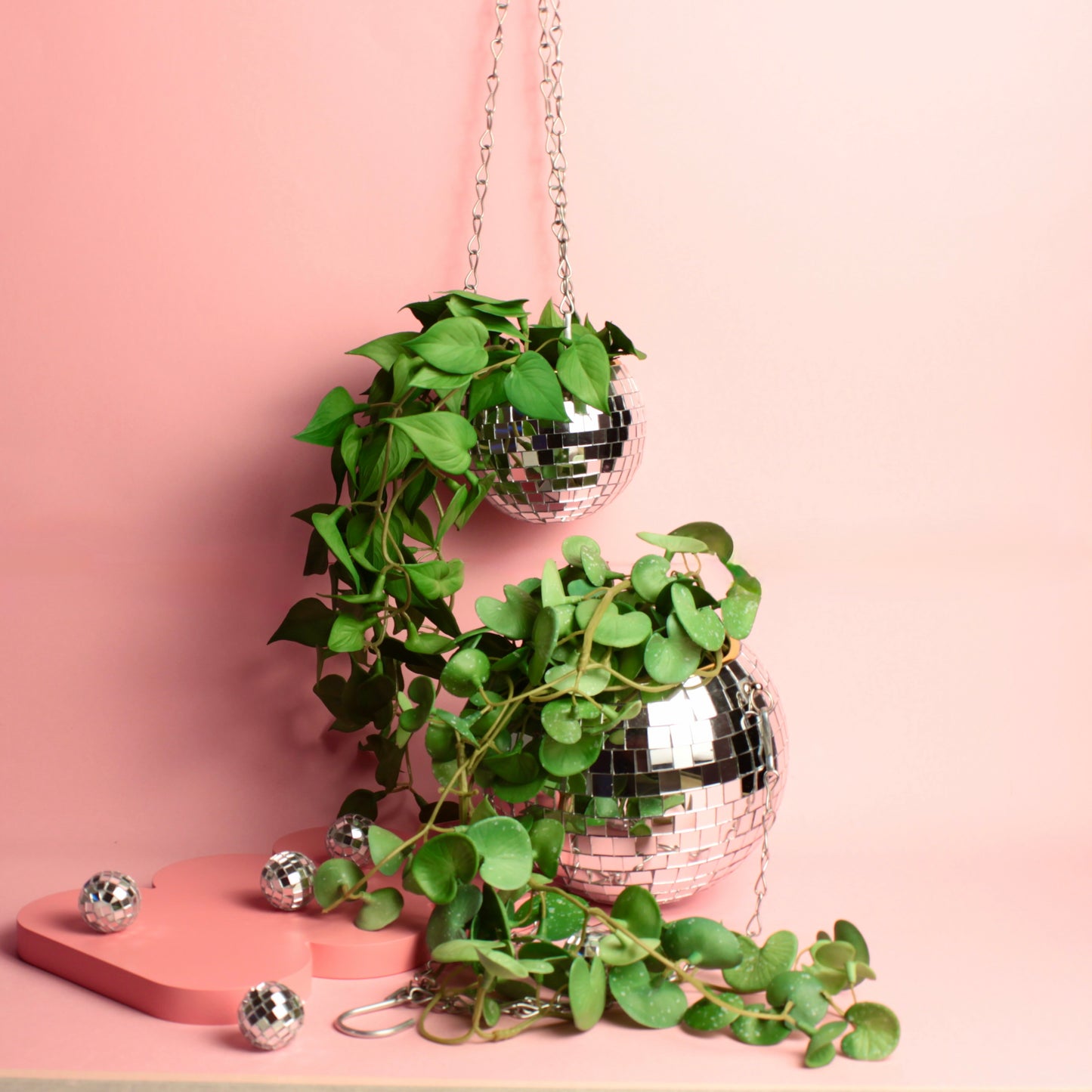 Cachepot Disco - Modern Mood