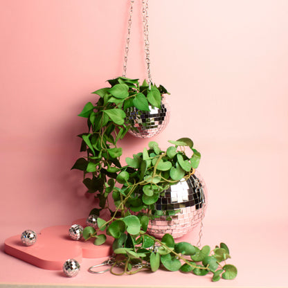 Cachepot Disco - Modern Mood