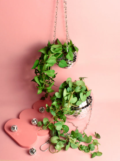 Cachepot Disco - Modern Mood