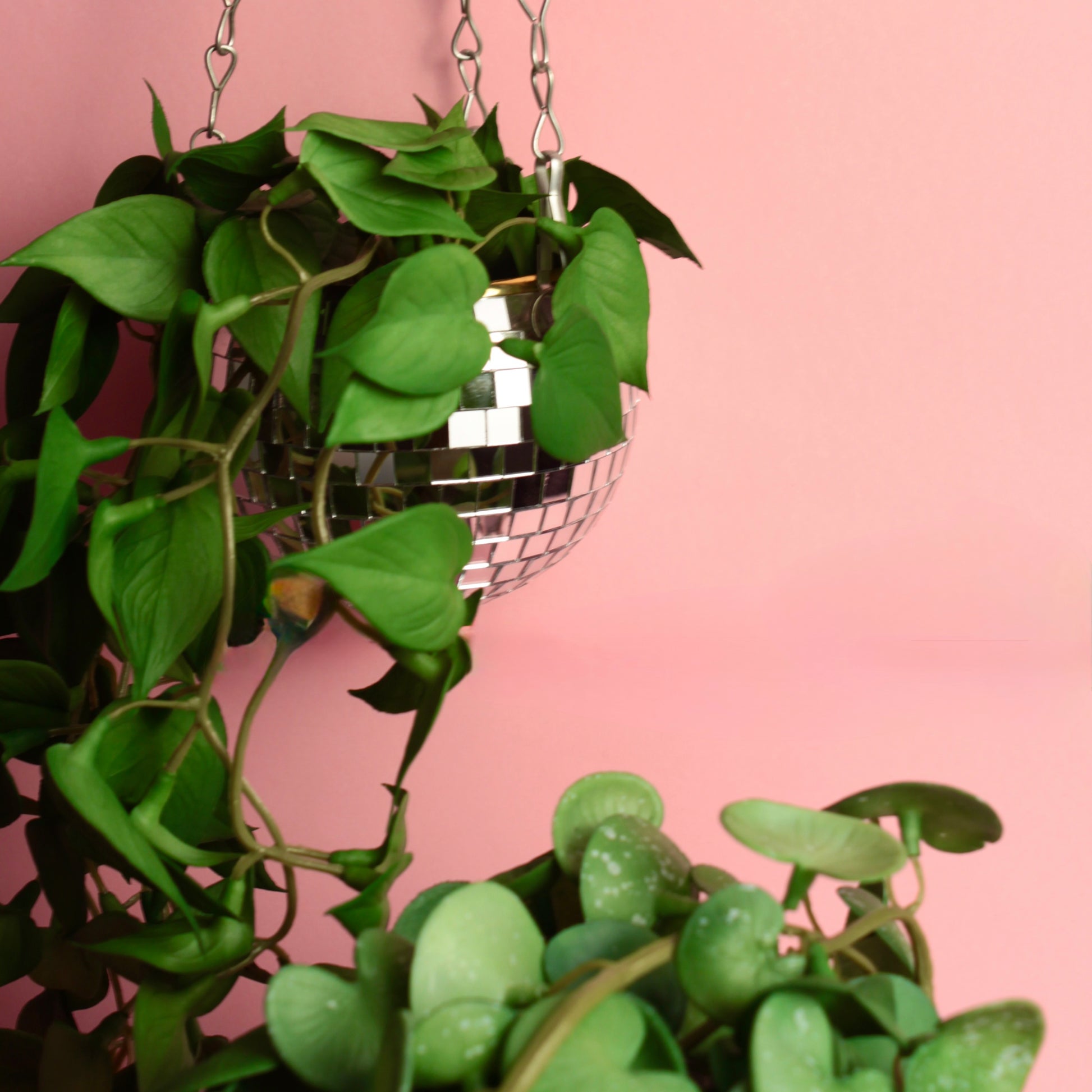 Cachepot Disco - Modern Mood