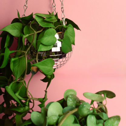 Cachepot Disco - Modern Mood