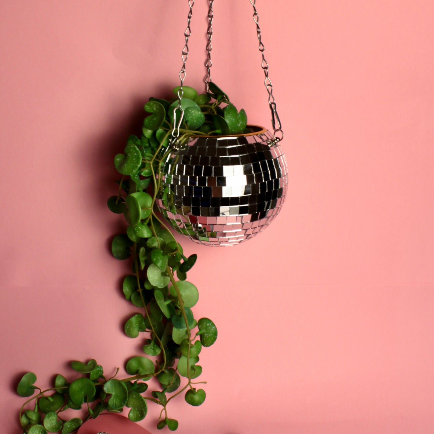 Cachepot Disco - Modern Mood