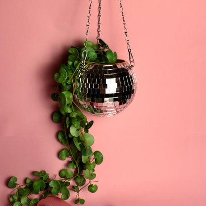 Cachepot Disco - Modern Mood