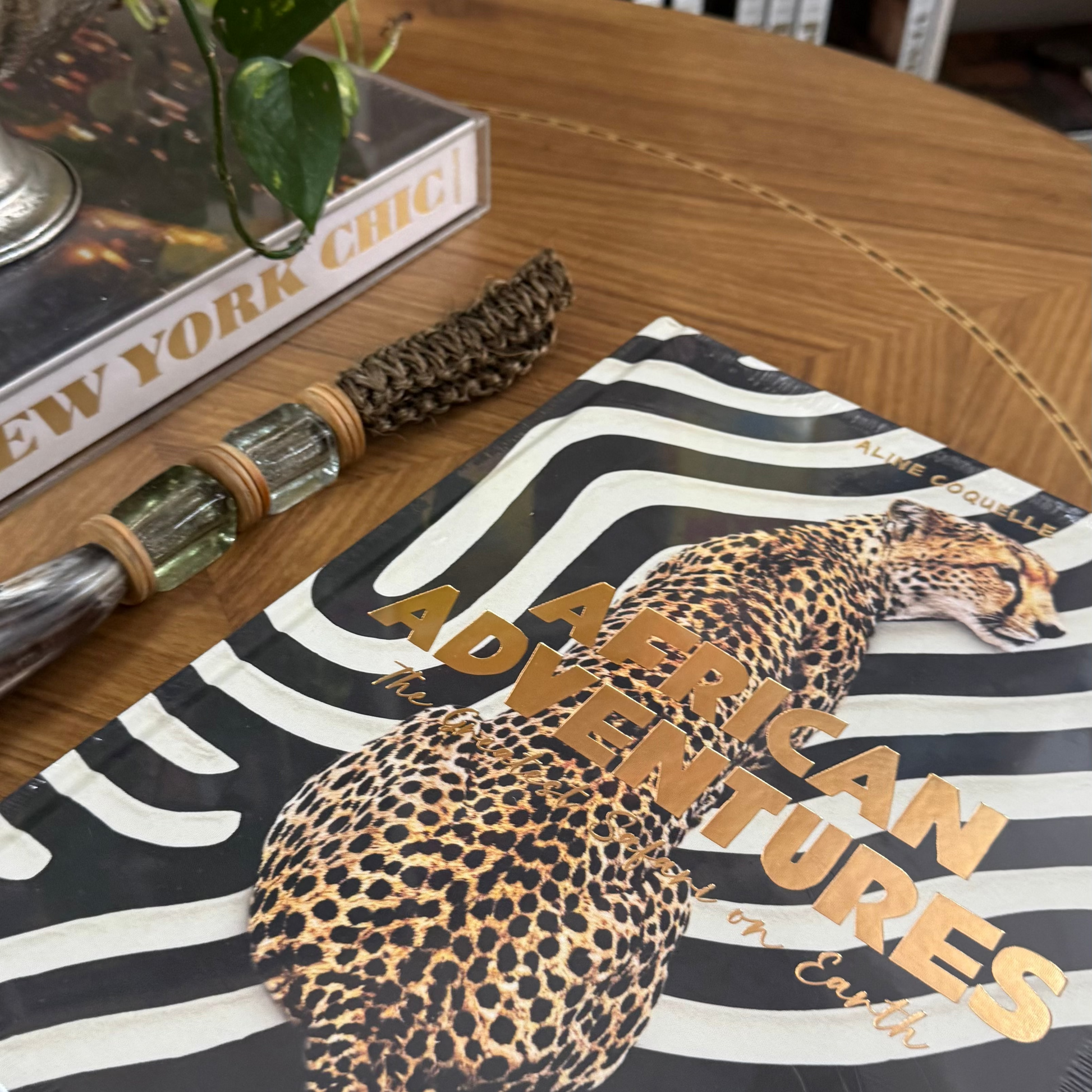 Livro African Adventures Assouline - Modern Mood