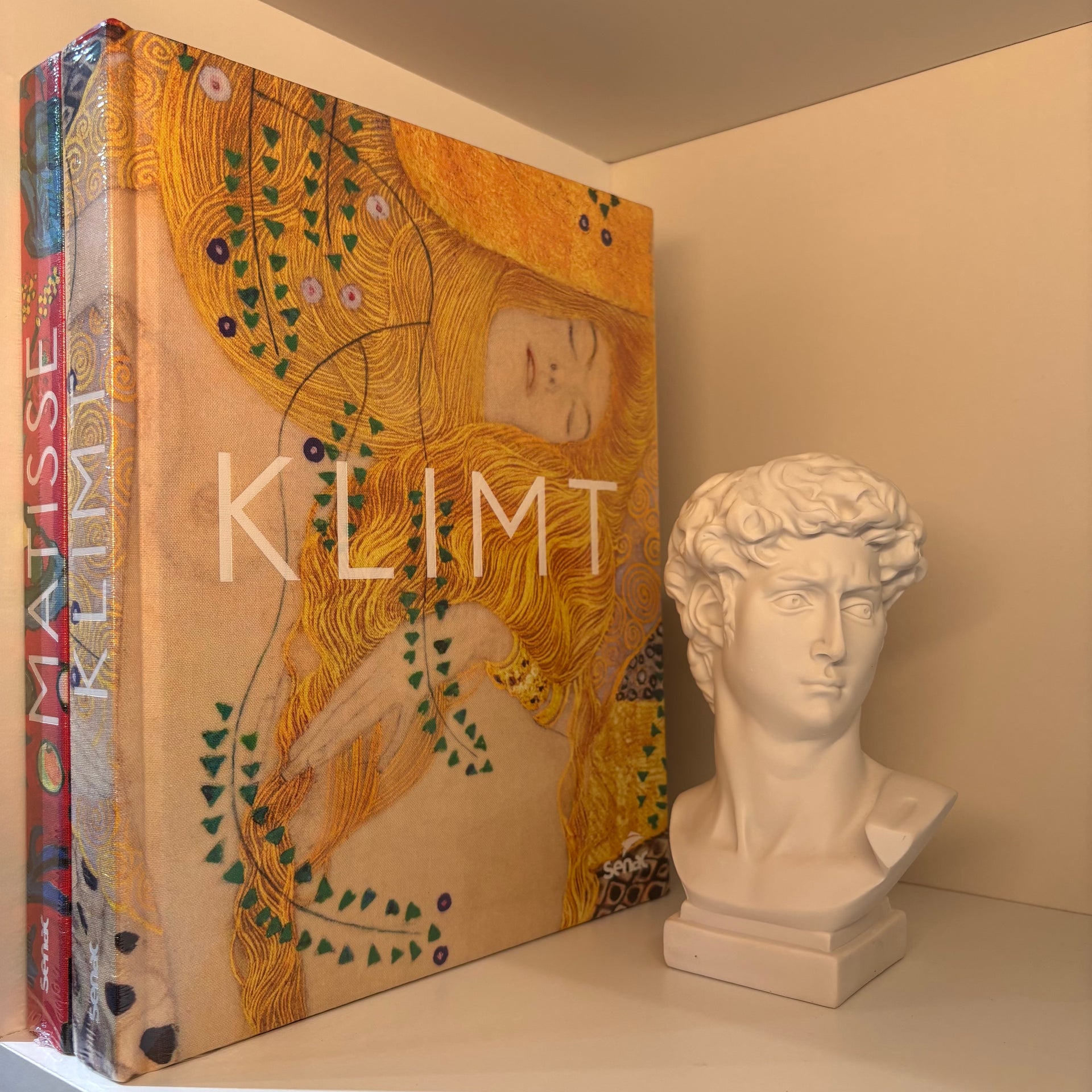 Livro Klimt Senac Sao Paulo