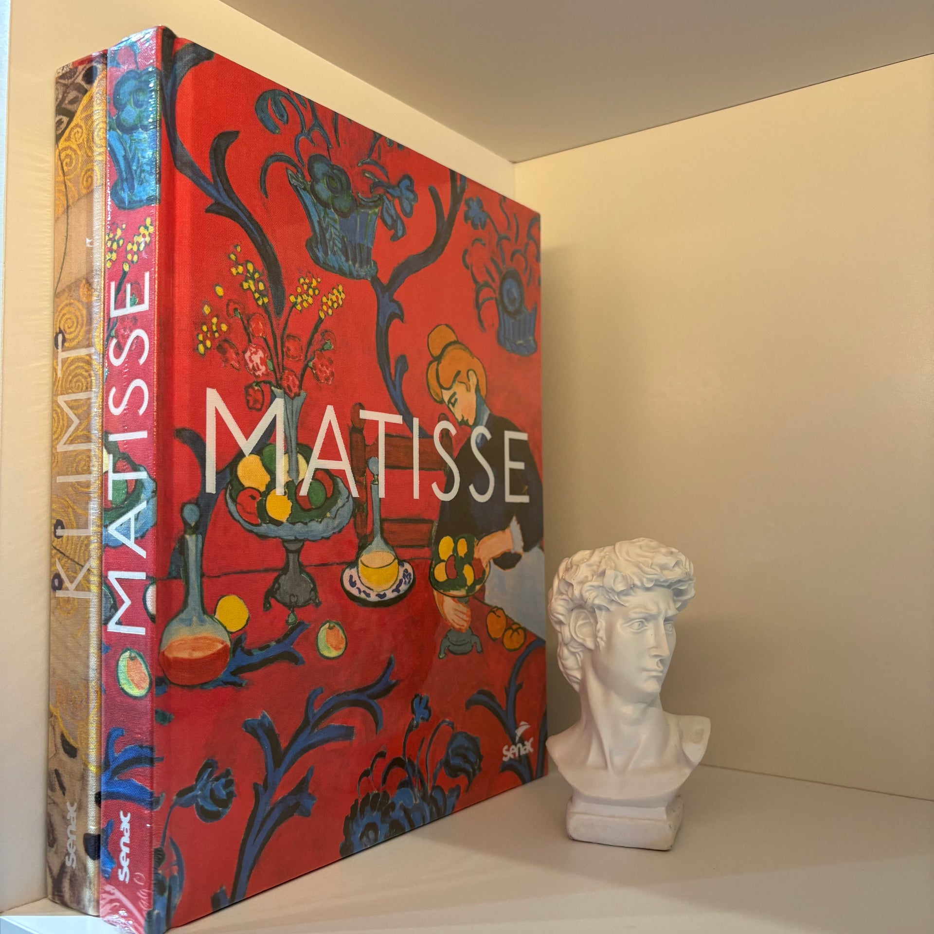 Livro Matisse Senac