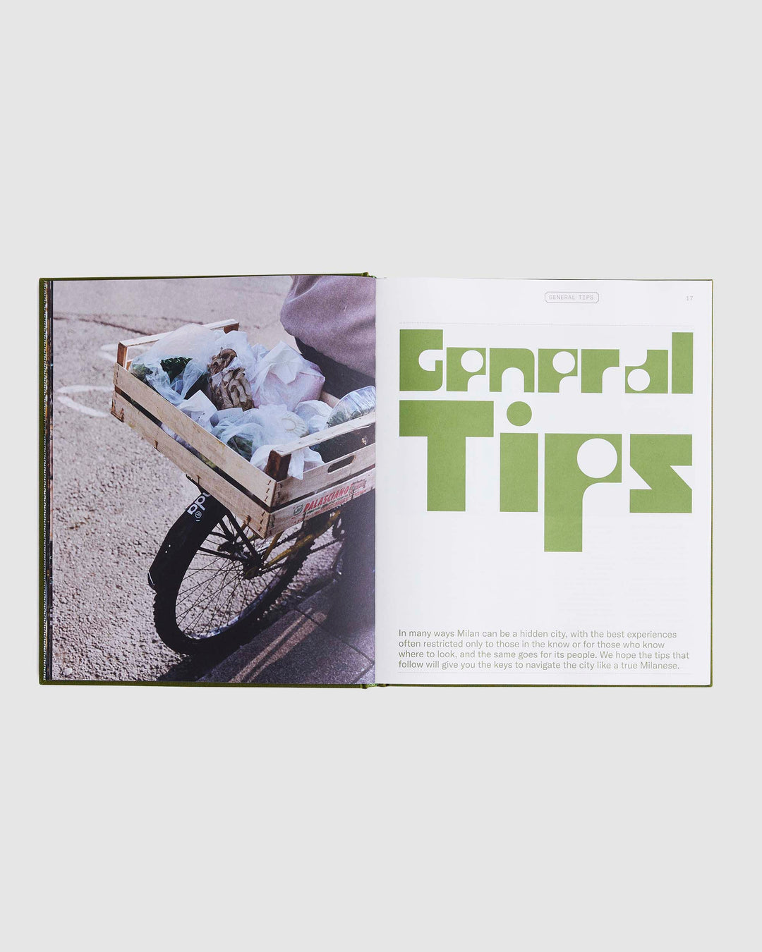 Livro Type 7 Guide to Milan ERG Media