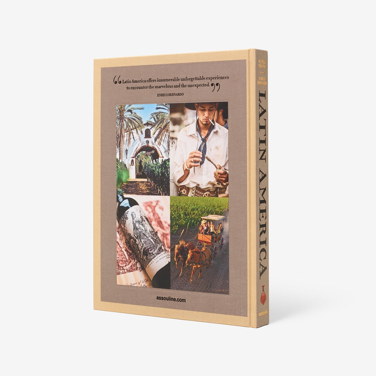 Livro Wine & Travel Latin America Assouline