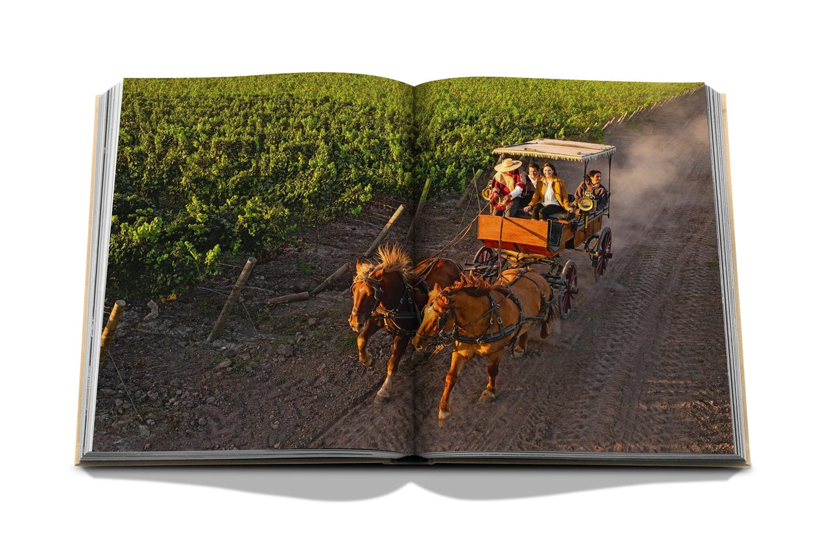 Livro Wine & Travel Latin America Assouline