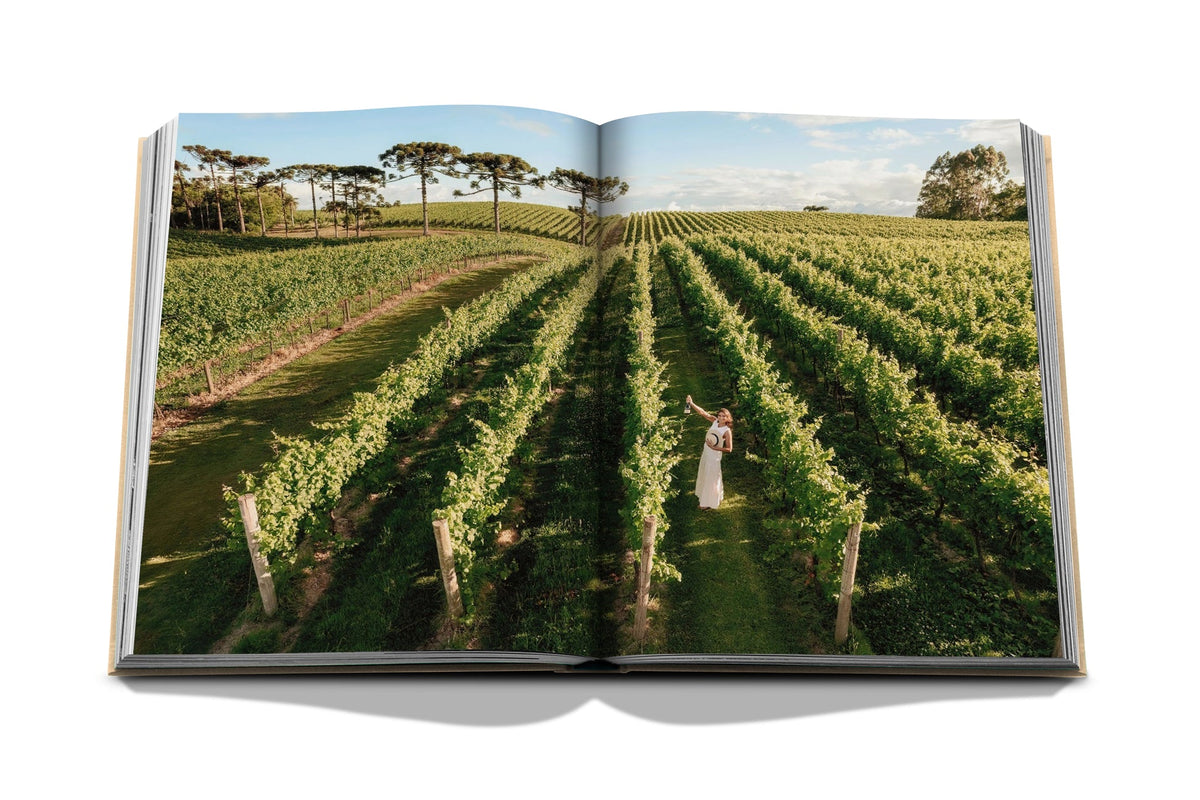 Livro Wine & Travel Latin America Assouline