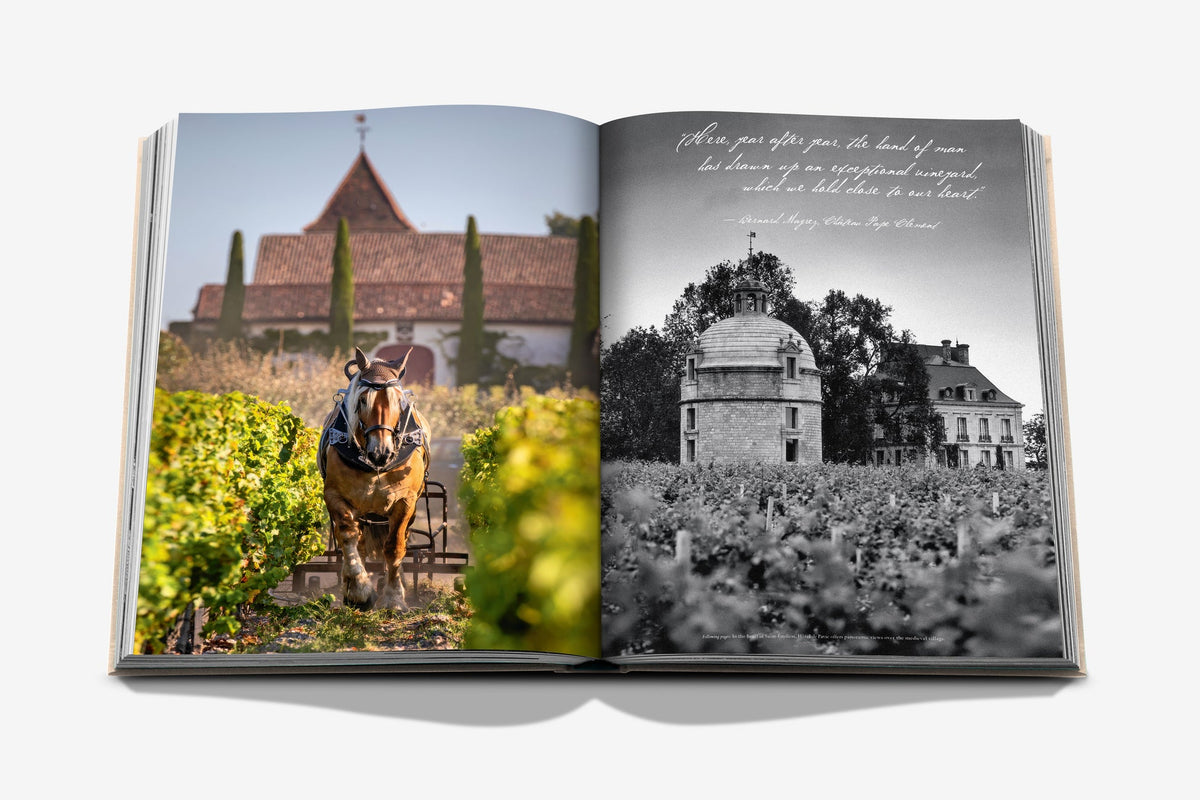 Livro Wine and Travel France Assouline - imagem 7