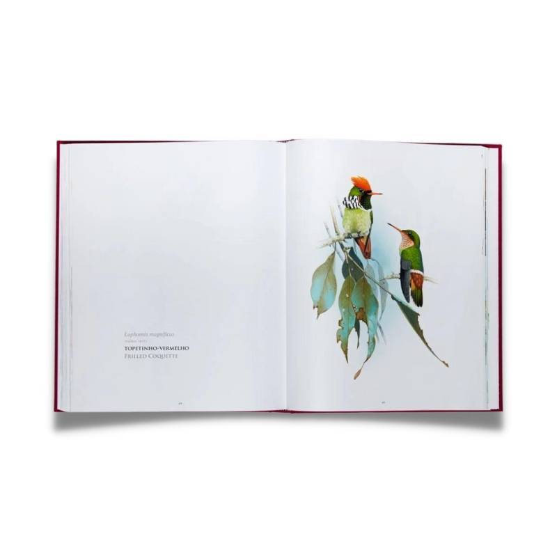 Livro Beija-flores do Brasil Editora Marte - imagem 4