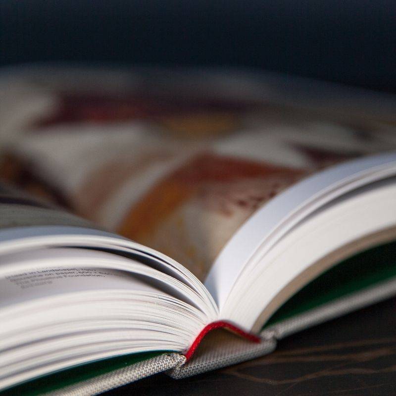 Livro Cobra: a Pictorial And Poetic Revolution Ingram Publisher Services Uk - imagem 10