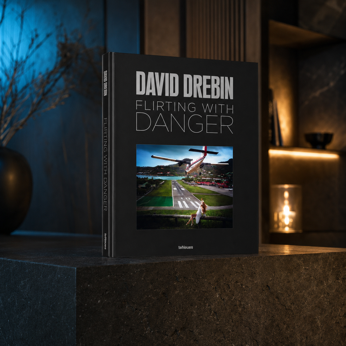 Livro Flirting with Danger de David Drebin em composição contemporânea