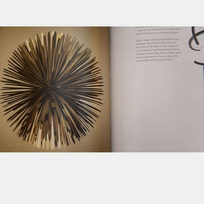 Livro Sculpting Light Teneues - Modern Mood