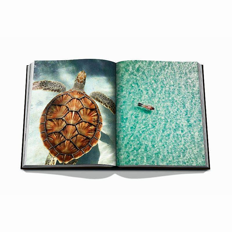 Livro Jamaica Vibes Assouline - Modern Mood