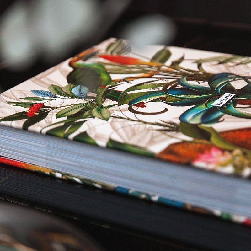 Livro Brasil Arquitetura e Decoração - Modern Mood