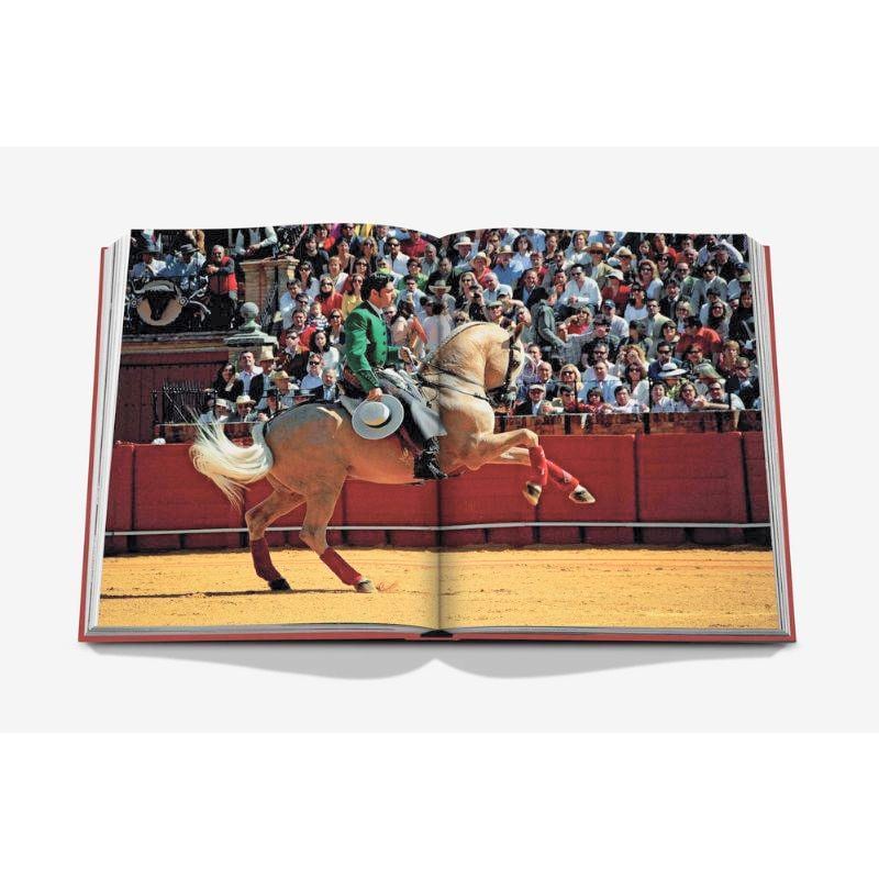 Livro Sevilla Arte Assouline - Modern Mood