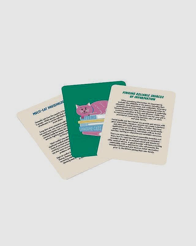 Livro Cartas for New Cat Parents - Para Novos Pais de Gatos - Modern Mood