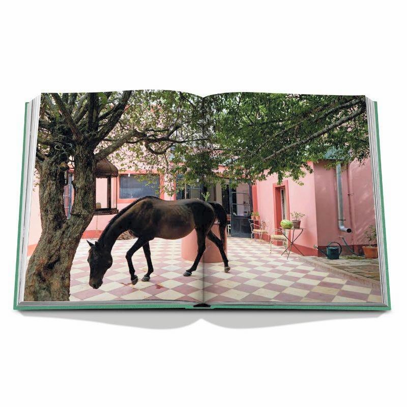 Livro Punta del Este Assouline - Modern Mood