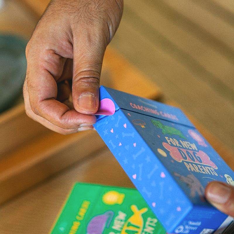 Livro Cartas for New Cat Parents - Para Novos Pais de Gatos - Modern Mood