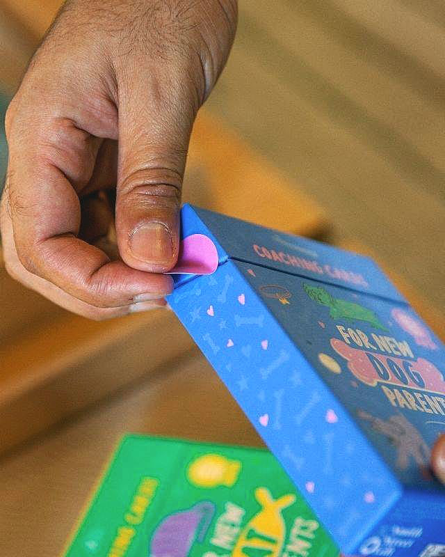Livro Cartas for New Cat Parents - Para Novos Pais de Gatos - Modern Mood