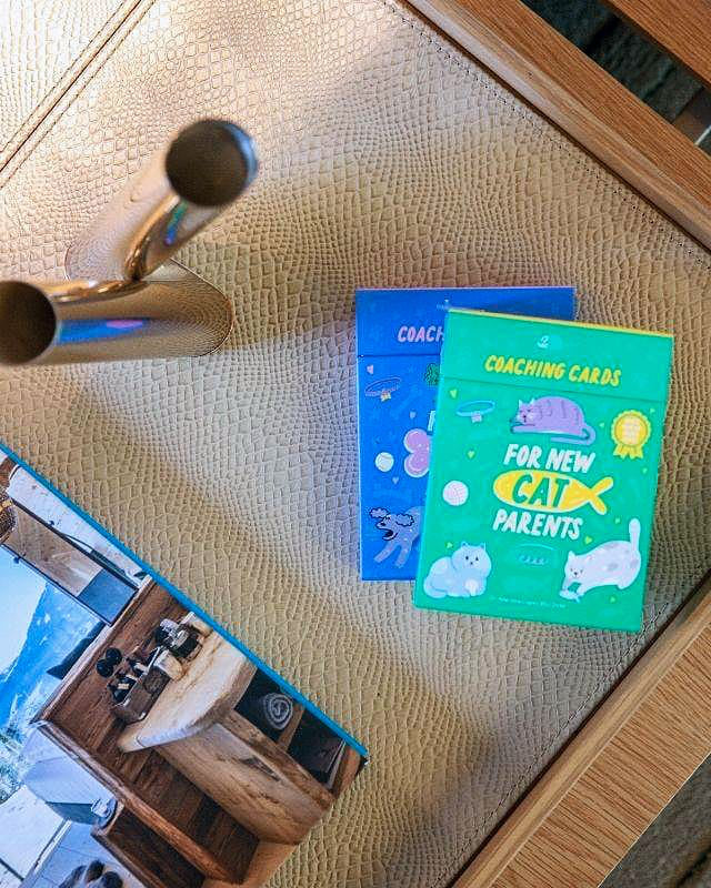 Livro Cartas for New Cat Parents - Para Novos Pais de Gatos - Modern Mood