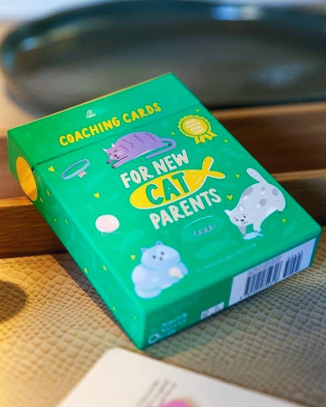 Livro Cartas for New Cat Parents - Para Novos Pais de Gatos - Modern Mood